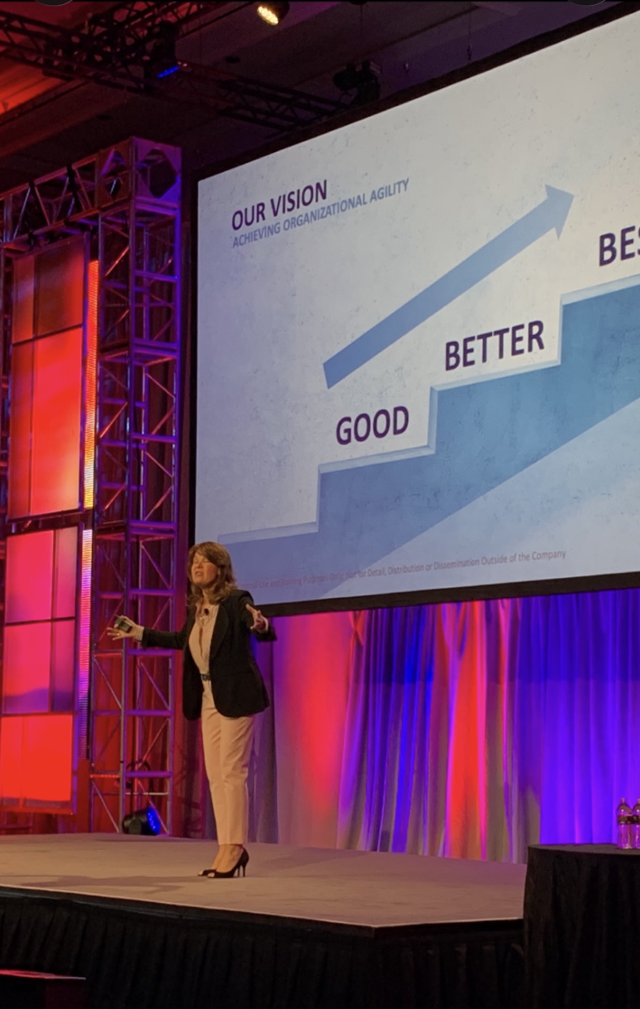 Mary Greanias facilitating a leadership workshop on stage